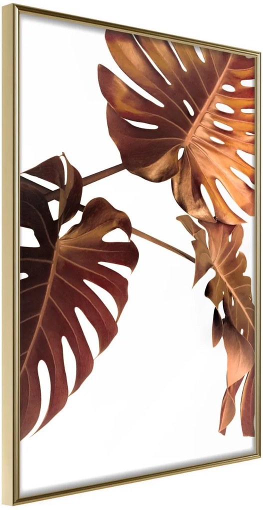 Αφίσα - Copper Monstera - 30x45 - Χρυσό - Χωρίς πασπαρτού