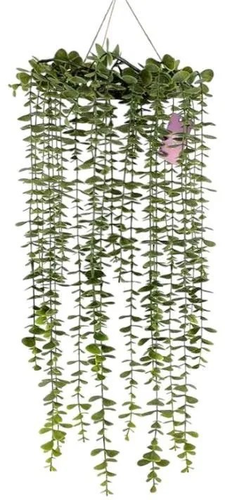 Διακοσμητικό Τεχνητό Φυτό Κρεμαστό 55εκ.