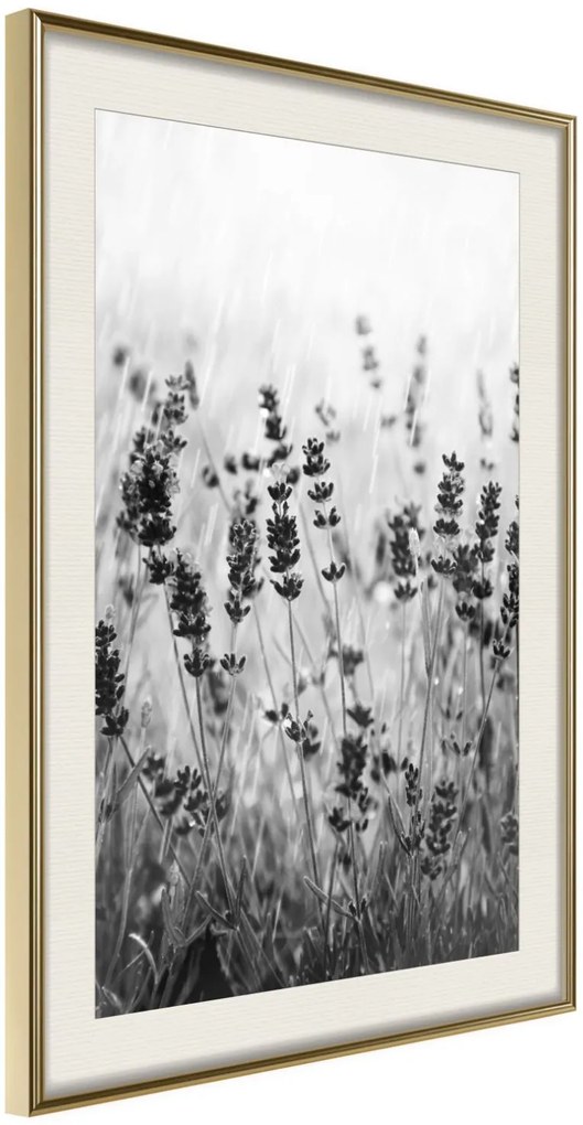 Αφίσα - Shadow of Meadow - 20x30 - Χρυσό - Με πασπαρτού