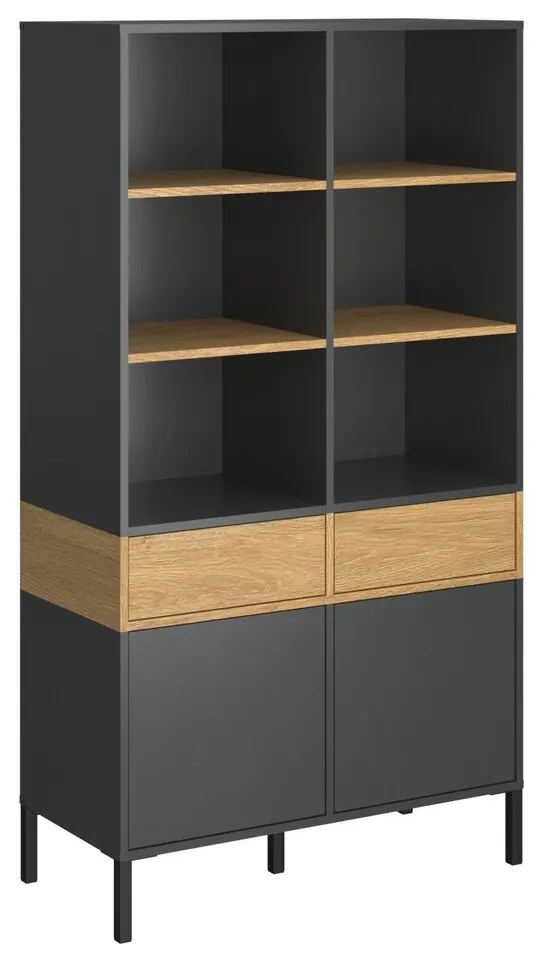 Ραφιέρα Beril 2D2S Ανθρακί-Χρυσό Δρυς 90x42x170cm