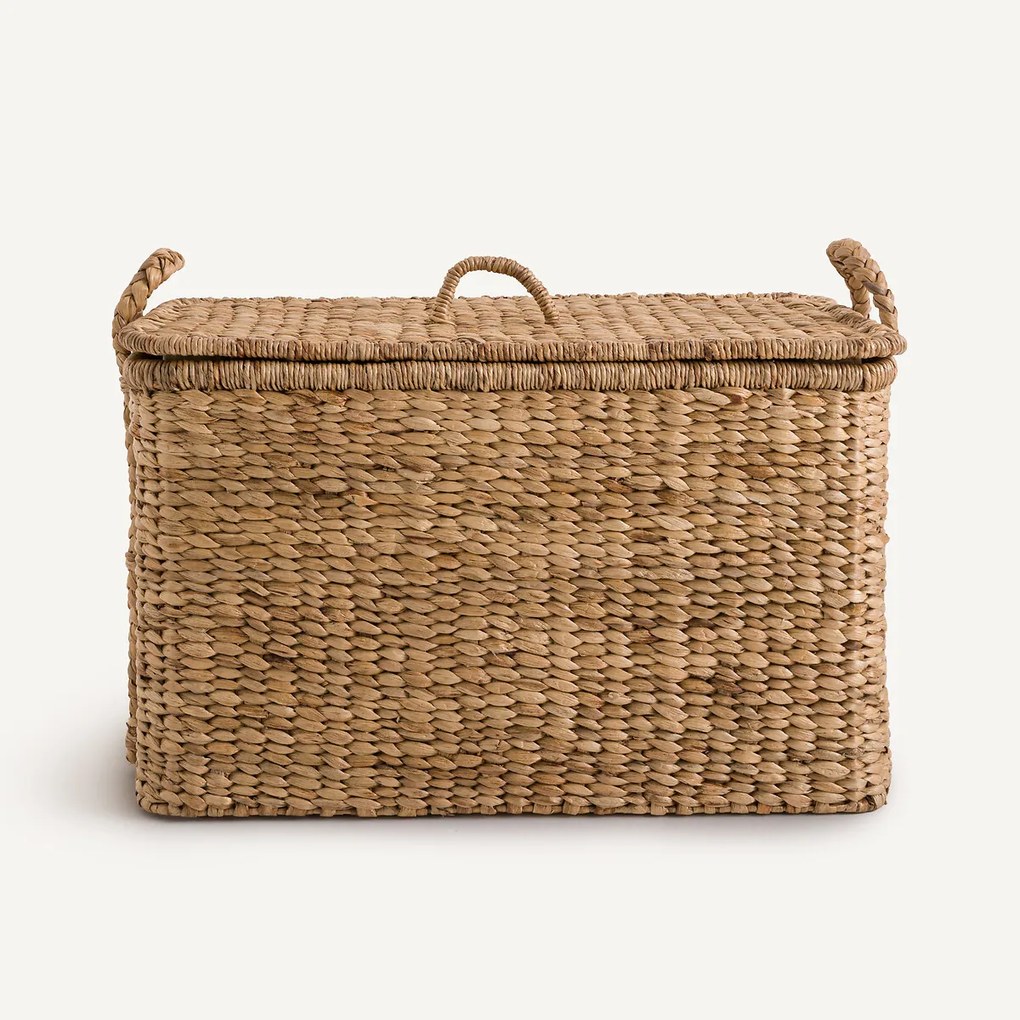 Μπαούλο από υάκινθο νερού, Tima