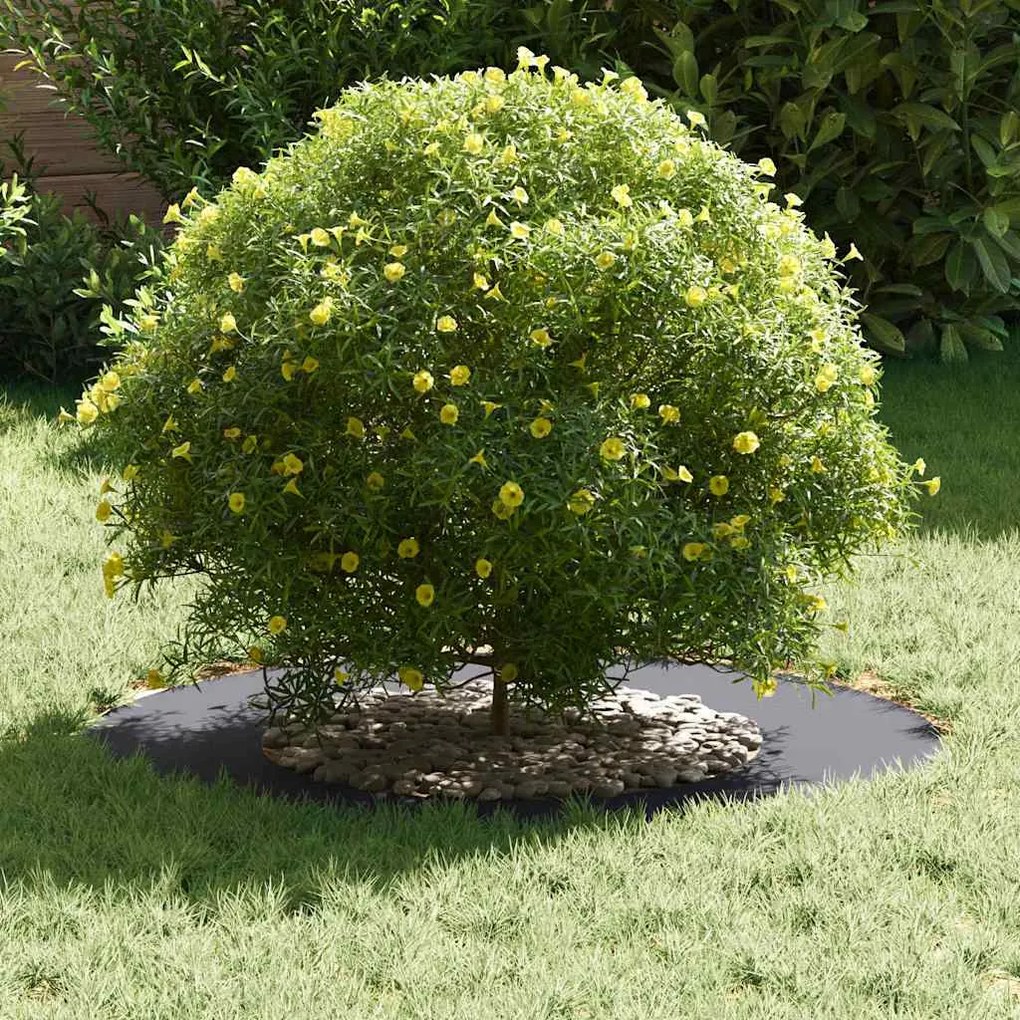 vidaXL Flat Tree Ring 5 τεμάχια ανθρακί Ø40/70 εκ. από ατσάλι