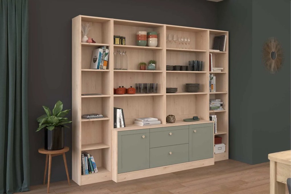 Σύνθεση βιβλιοθήκης Soria