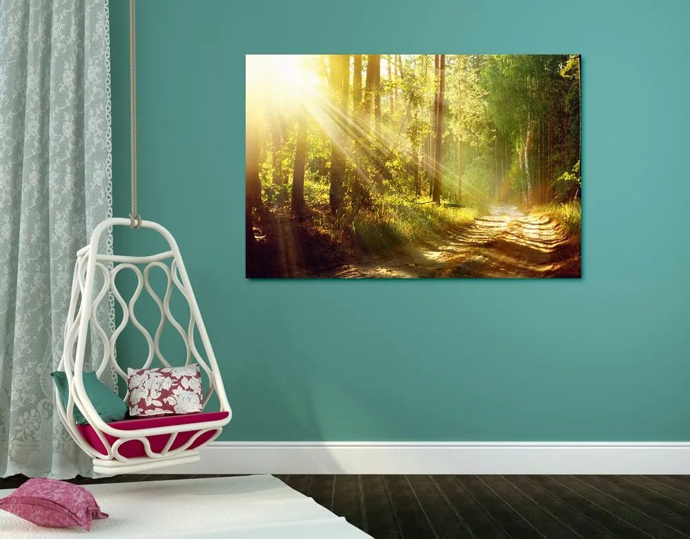Εικόνα ηλιαχτίδες στο δάσος - 120x80