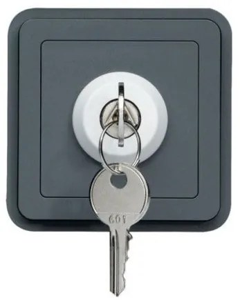 Διακόπτης 2 Θέσεων με Κλειδί Γκρι ΙΡ55 Cubyko WNA035 Hager-WNA035-Ανθρακί WNA035