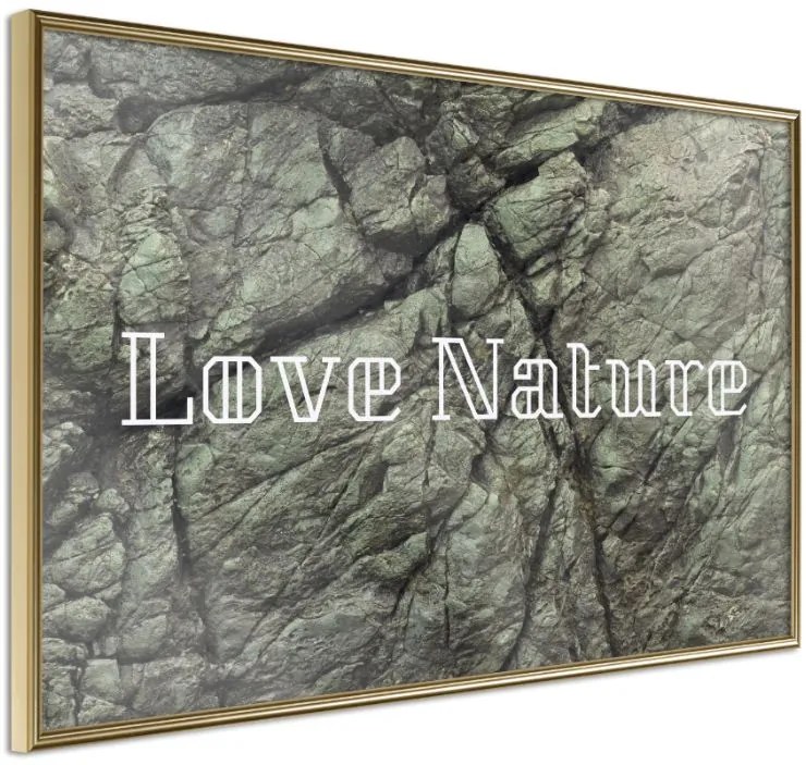 Αφίσα - Nature - 60x40 - Χρυσό - Χωρίς πασπαρτού