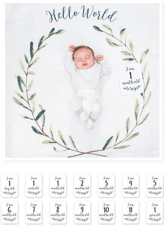 Mουσελίνα Φωτογράφισης 100x100εκ. &amp; Κάρτες Hello World Lulujo LJ592