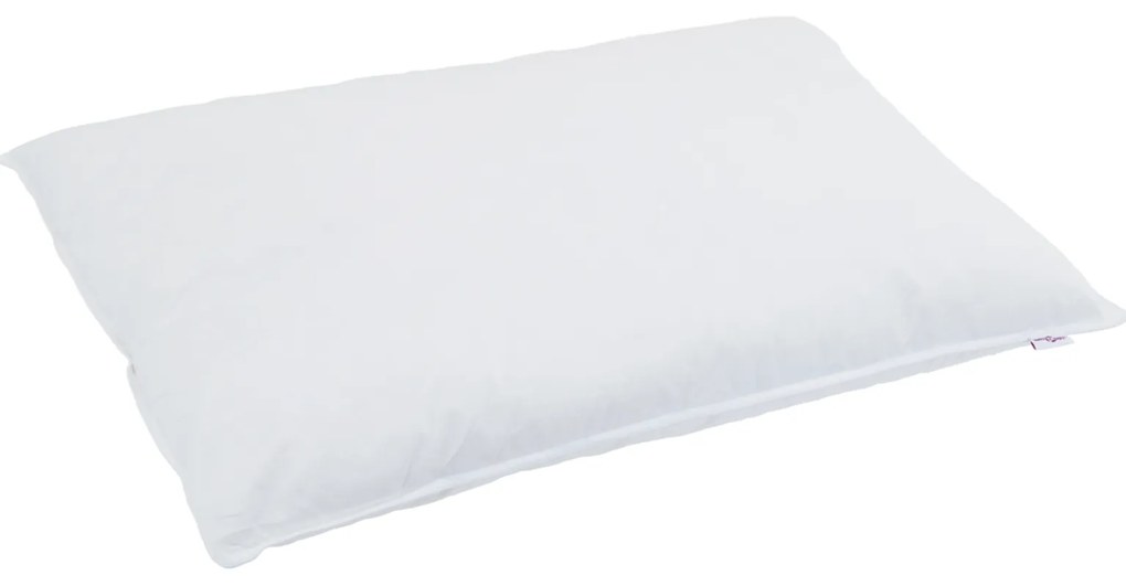 vidaXL Πάπλωμα με μαξιλάρι 2 pcs Λευκό 155 x 220 cm Πούπουλο