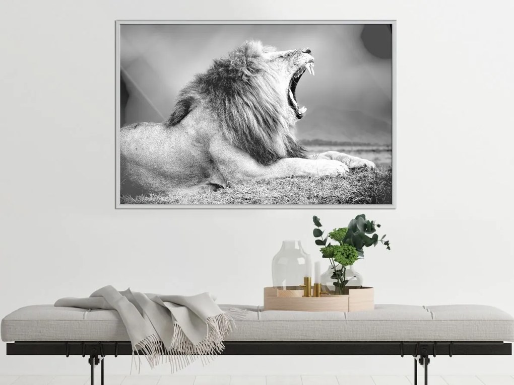 Αφίσα - Yawning Lion - 30x20 - Χρυσό - Χωρίς πασπαρτού