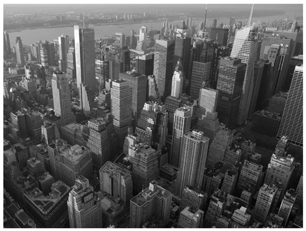 Φωτοταπετσαρία - New York: skyscrapers (bird's eye view) 200x154