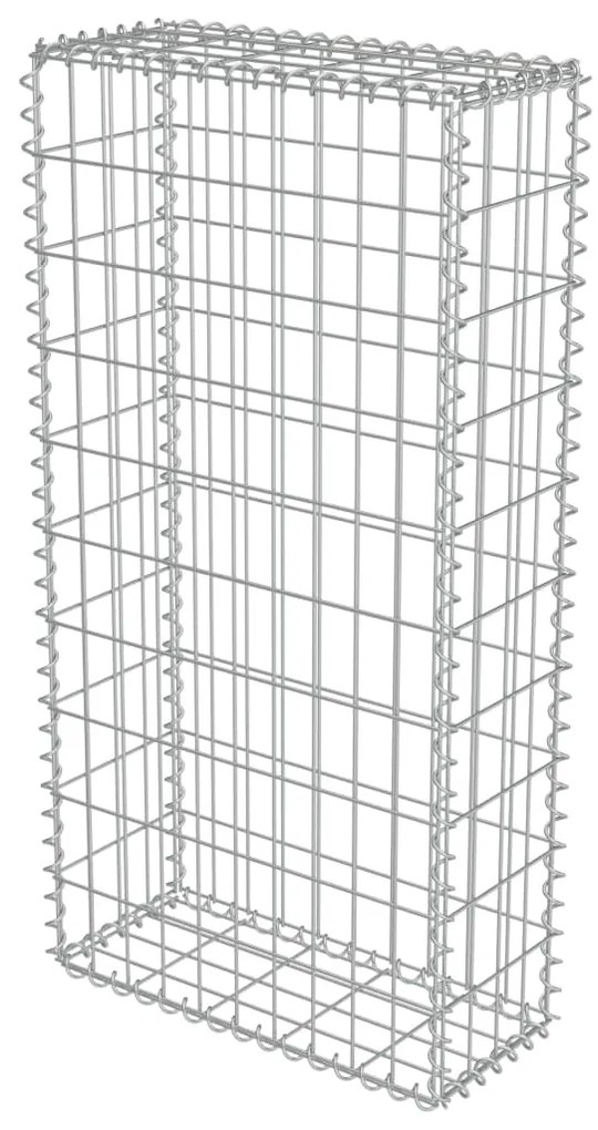 vidaXL Συρματοκιβώτιο Τοίχος 50x20x100 εκ. Γαλβαν.Χάλυβας + Καλύμματα