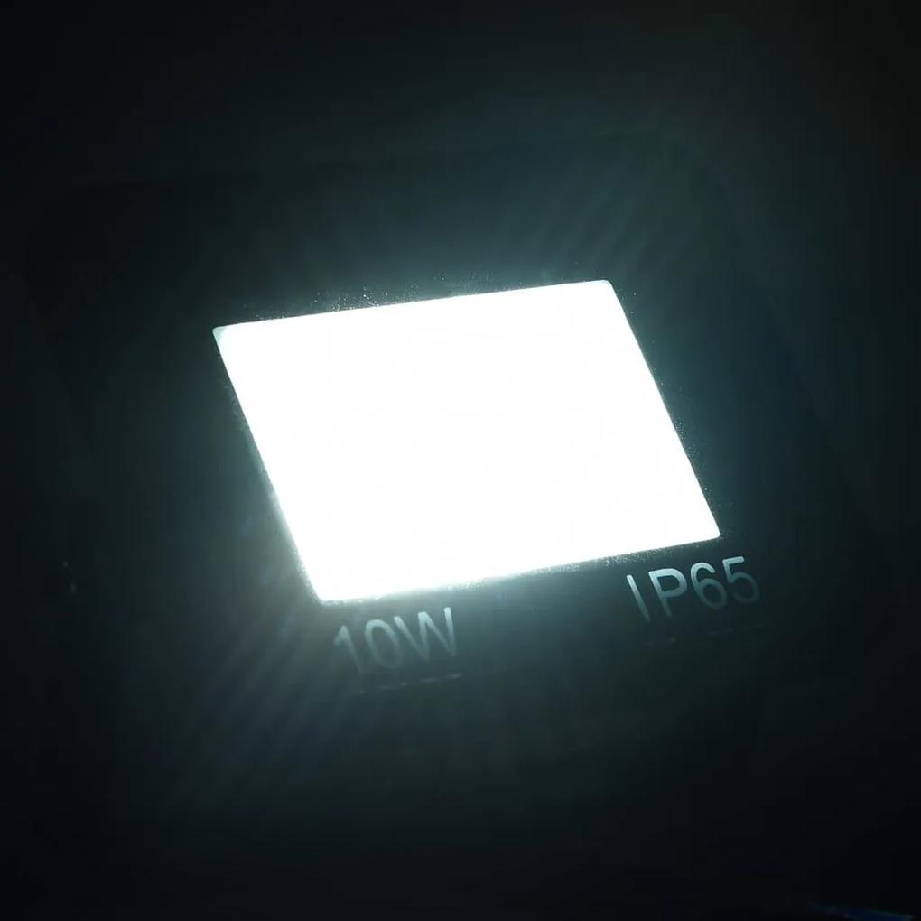 Προβολείς LED 2 τεμ. Ψυχρό Λευκό 10 W - Μαύρο