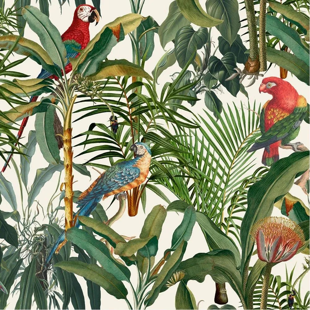 Ταπετσαρία Parrots Of Brasil WP20521 Green-Taupe-Red MindTheGap 52x300cm