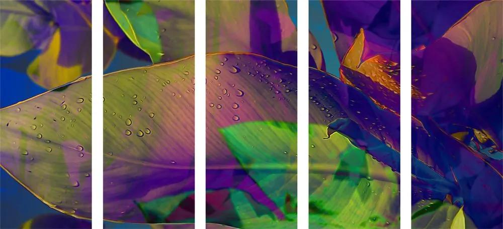 5 μέρη εικόνα χρωματιστά φύλλα