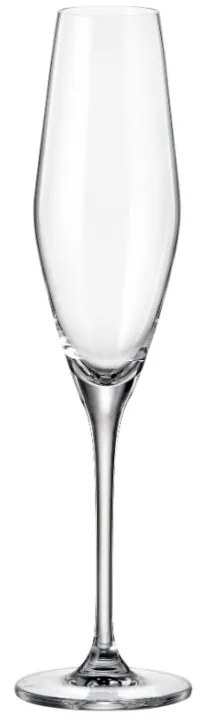 Ποτήρι Σαμπάνιας 210ml Loxia - Crystal Bohemia - 6 ΤΜΧ