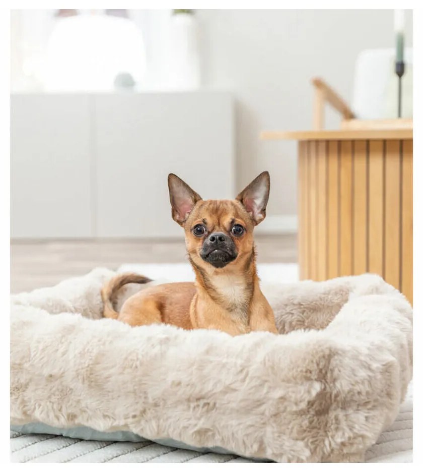 Κρεβάτιγια Σκύλους Trixie Άμμο 60 × 50 cm