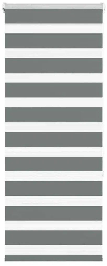 Ζέβρα τυφλή Σκούρο Γκρι Πλάτος υφάσματος 60,9 εκ. Πολυεστέρας