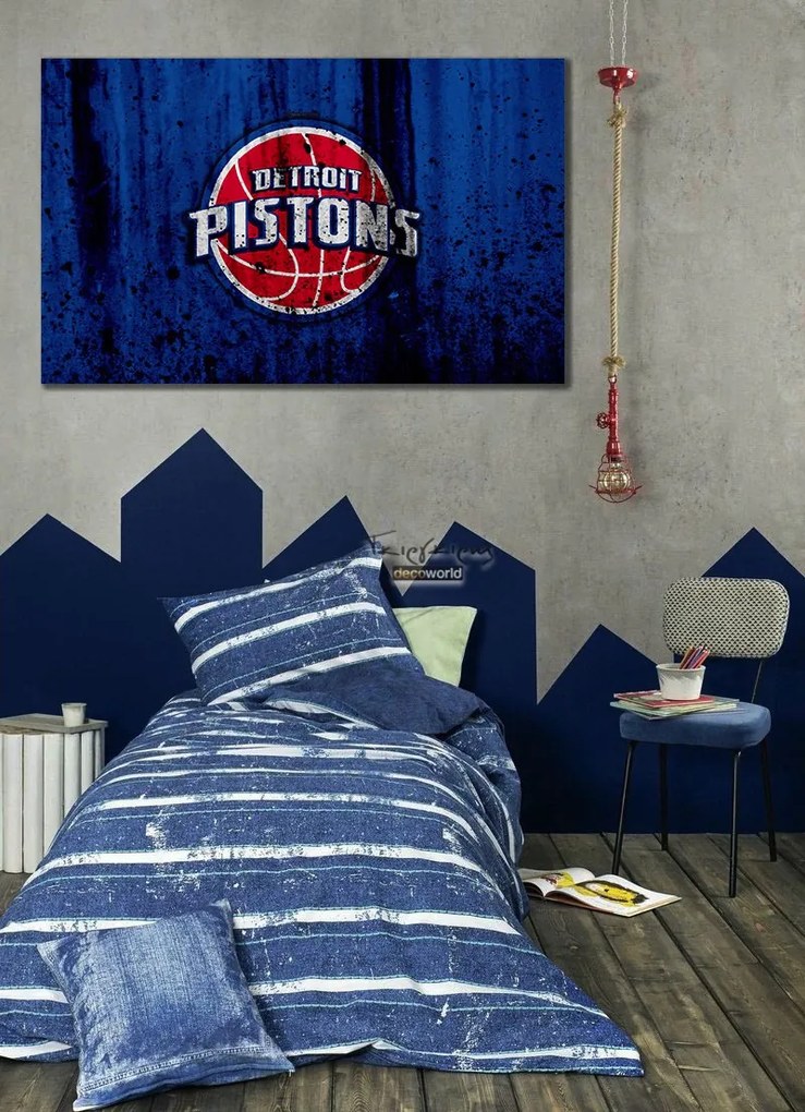 Πίνακας σε καμβά NBA Pistons KNV915 30cm x 40cm