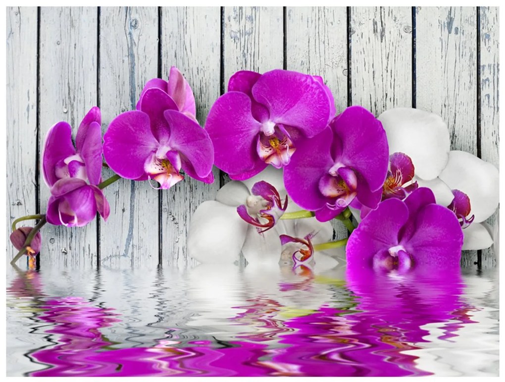 Φωτοταπετσαρία - Violet orchids with water reflexion 200x154