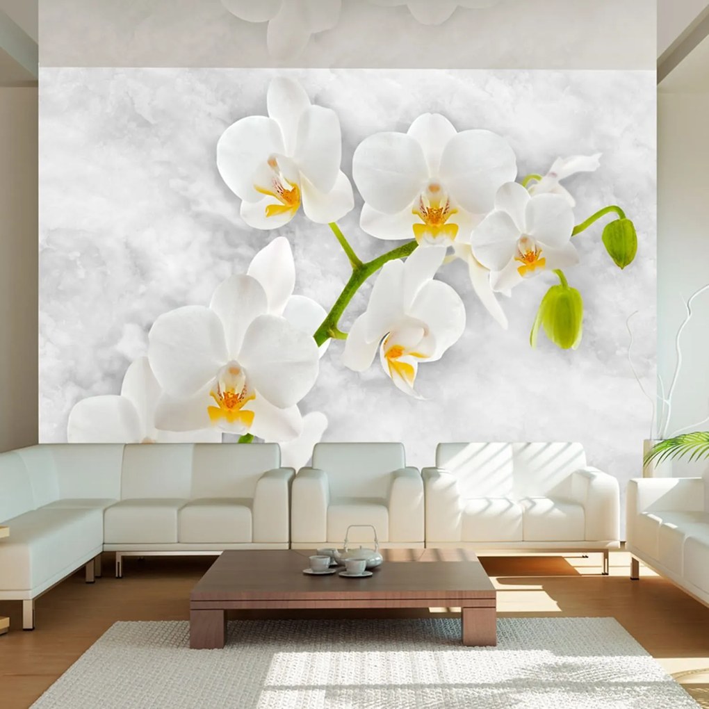 Φωτοταπετσαρία - Lyrical orchid - White 250x175