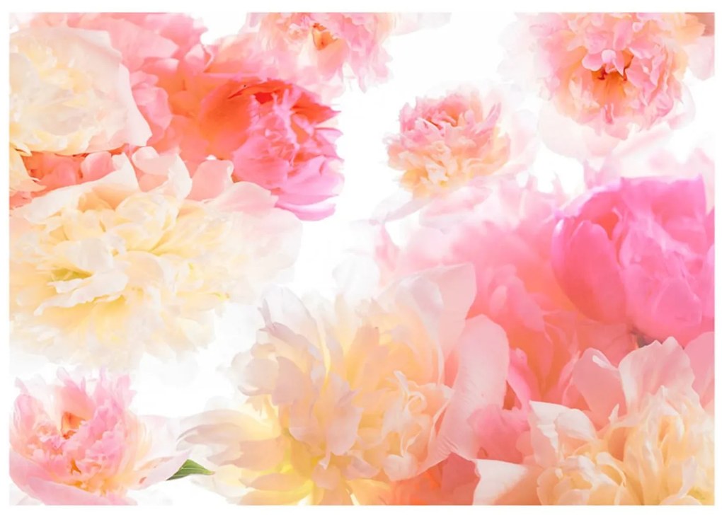 Φωτοταπετσαρία - Pastel peonies 400x280