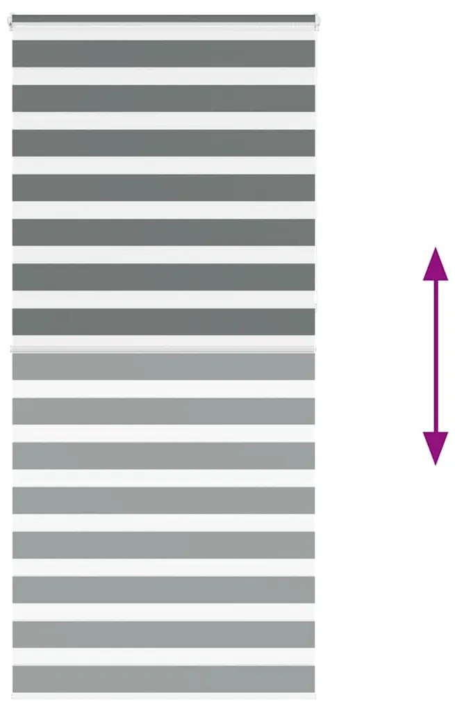 Ζέβρα τυφλή Σκούρο Γκρι Πλάτος υφάσματος 105,9 εκ. Πολυεστέρας 4014185