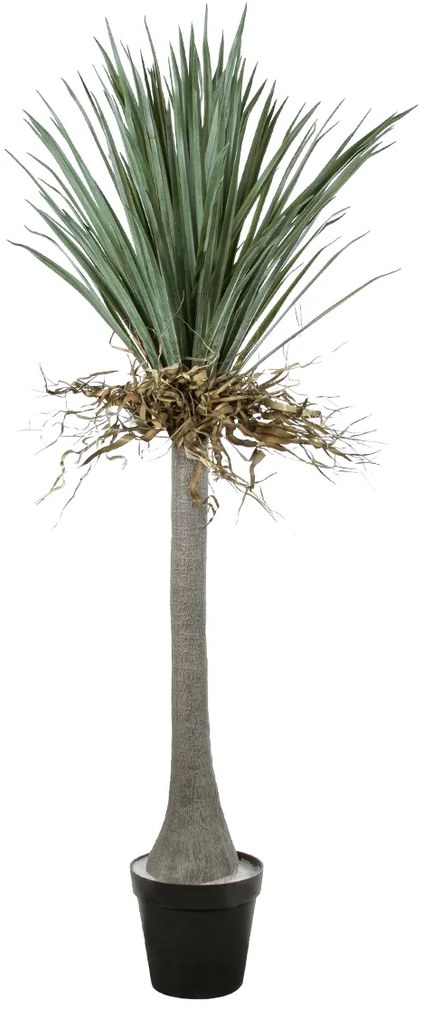 GloboStar® Artificial Garden BEAUCARNEA PALM TREE 20047 Τεχνητό Διακοσμητικό Φυτό Κυρτόφυλλος Μπουκαρνέα Υ200cm