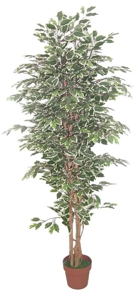 Τεχνητό Φυτό Σε Γλάστρα Ficus 022408 H170cm Green Polyester,Plastic