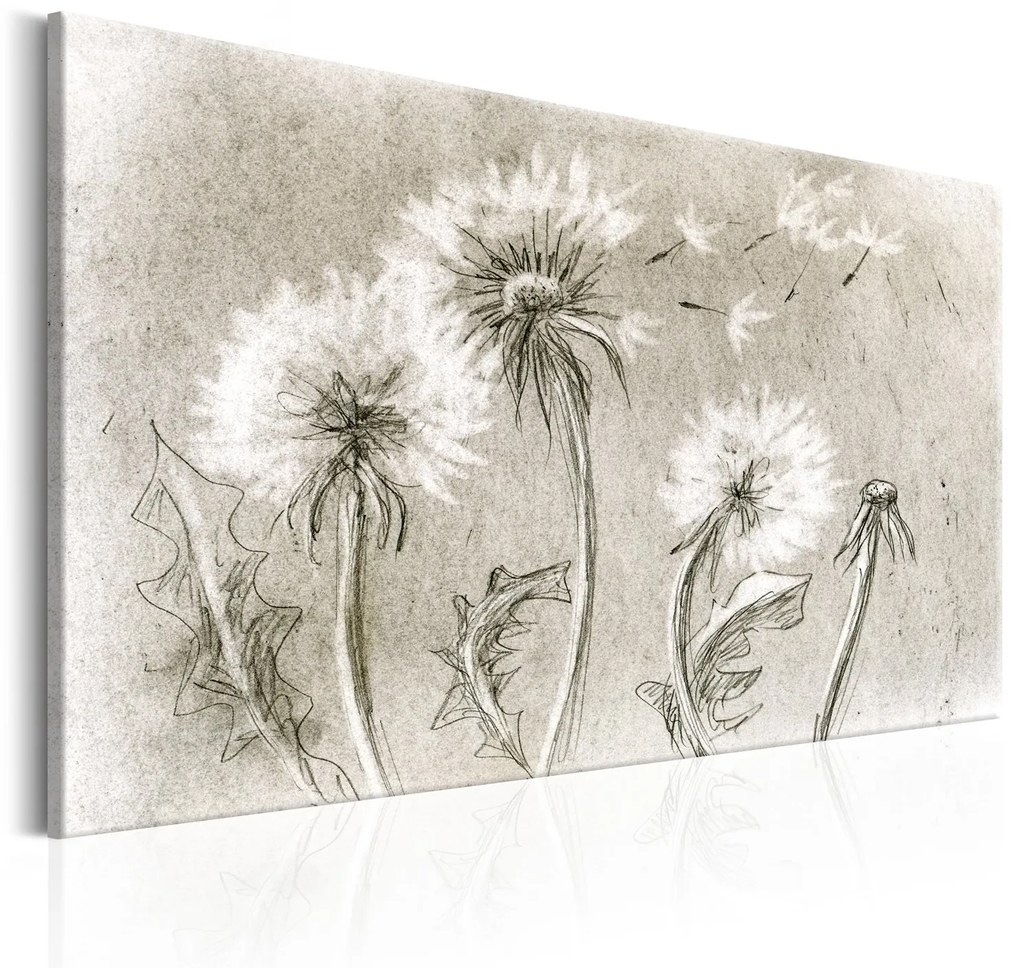 Πίνακας - Dandelions (Pencil Artwork) 120x80