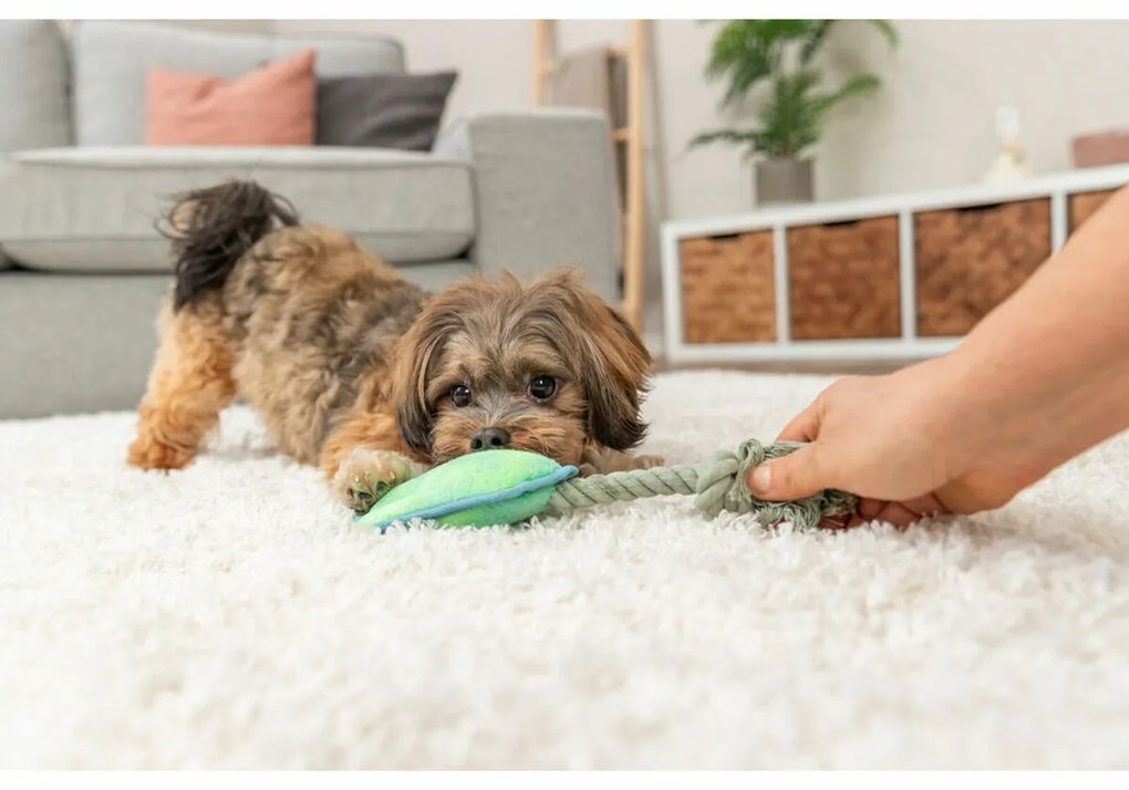 Βελούδινο Ζωάκι για Σκύλους Trixie Μπλε Πράσινο πολυεστέρας 22 cm