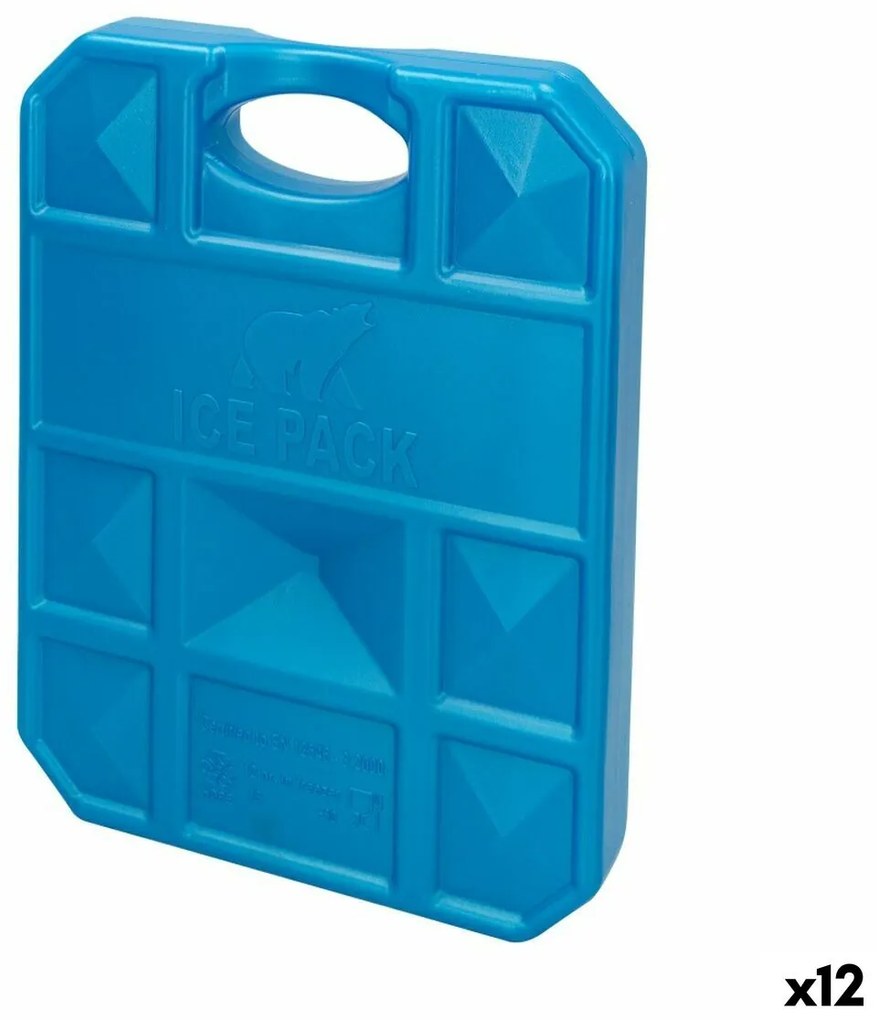 Συσσωρευτής Κρύου Aktive Μπλε 1 kg 18,5 x 24 x 3,3 cm (12 Μονάδες)