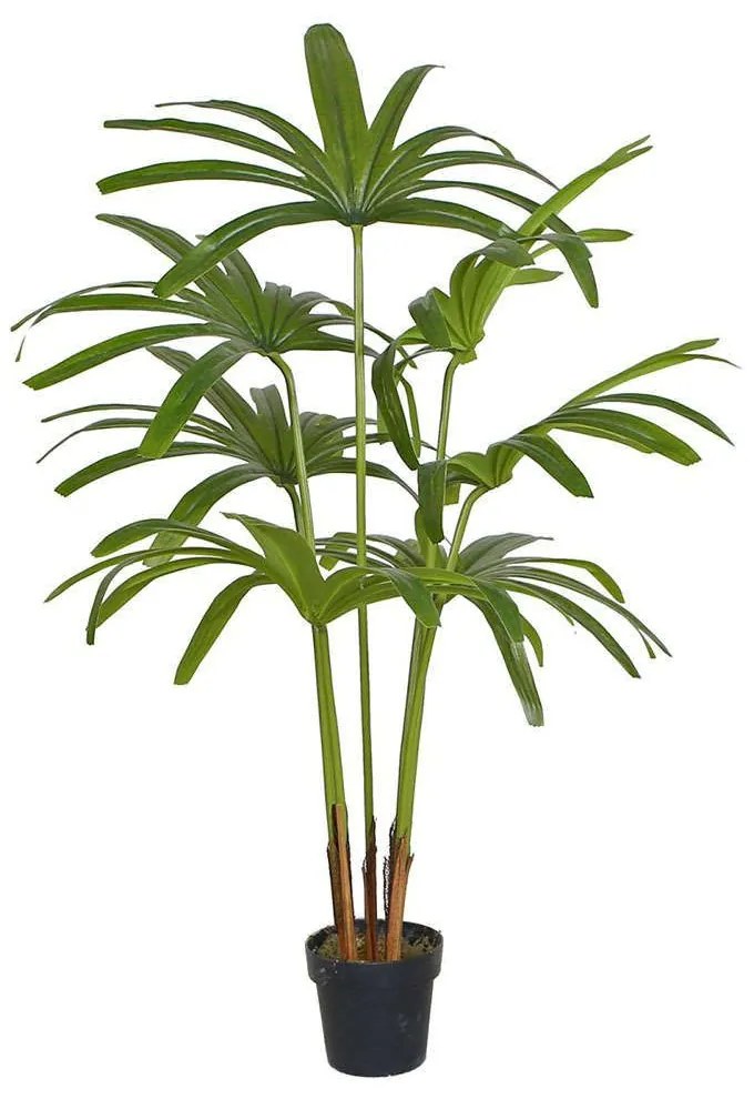 Τεχνητό Δέντρο Ράπις Εxcelsa 0380-6 50x110cm Green Supergreens Polyethylene
