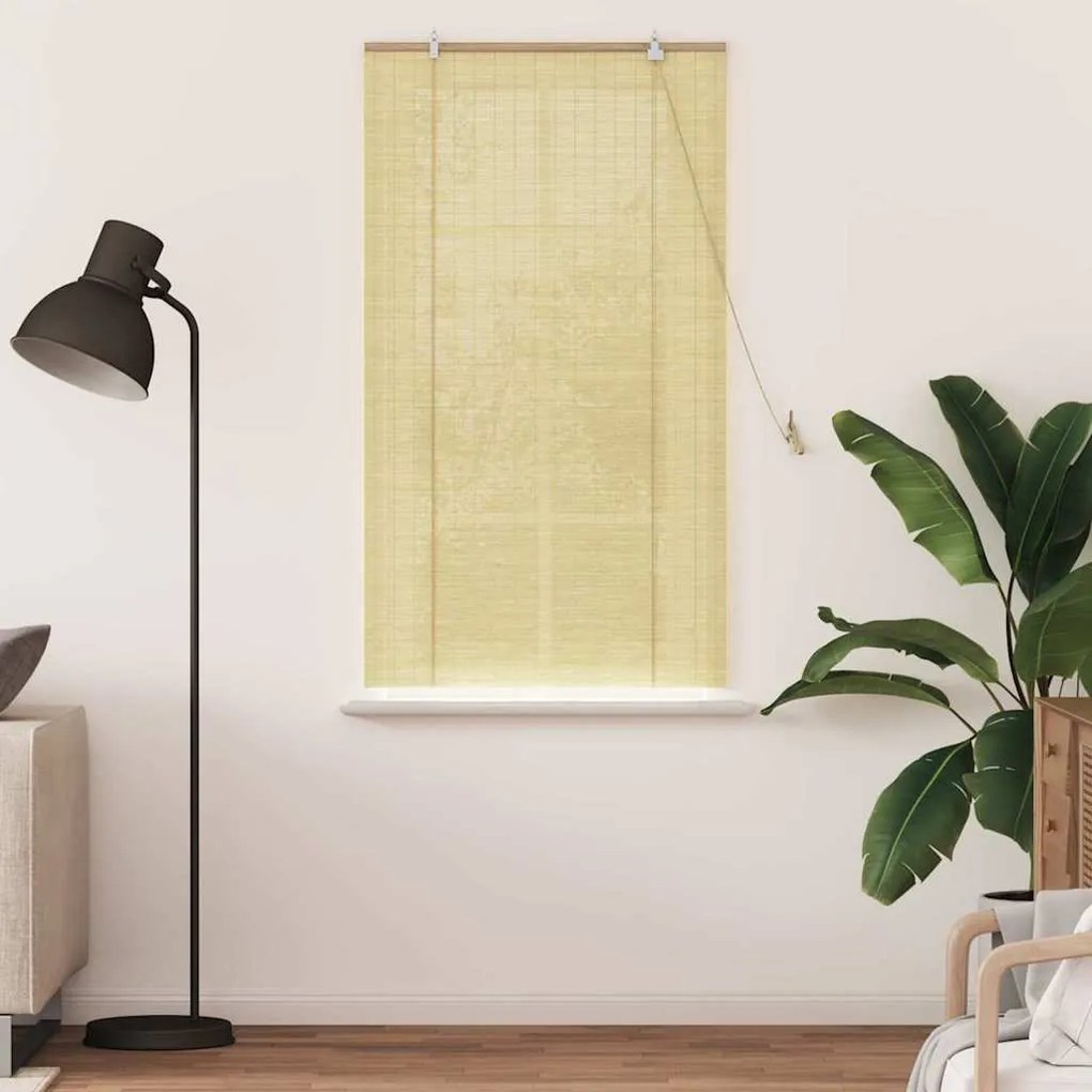 vidaXL Ρολά και Σκίες Παραθύρων Φυσικό 80 x 160 cm Μπαμπού