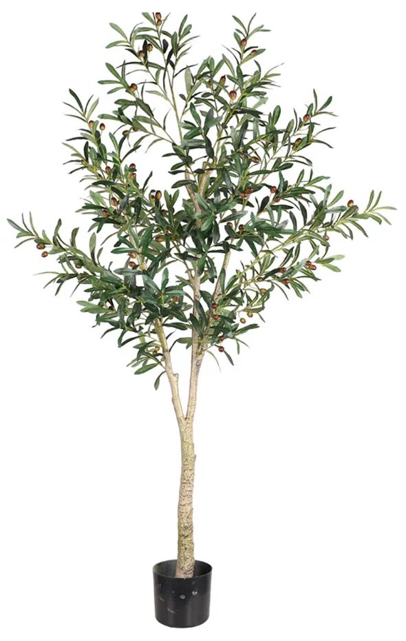 OLIVE TREE ΤΕΧΝΗΤΟ ΦΥΤΟ ΣΕ ΓΛΑΣΤΡΑ ΠΡΑΣΙΝΟ ΜΑΥΡΟ H180cm