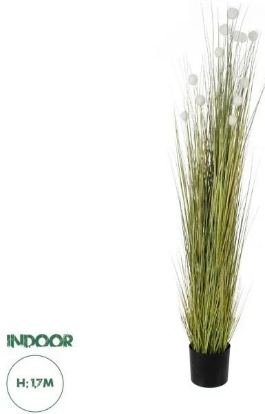 Τεχνητό Διακοσμητικό Φυτό Βαμβάκι Artificial Garden ERIOPHORUM ANGUSTIFOLIUM COTTON GRASS 20074 Globostar-20074-Πράσινο 20074