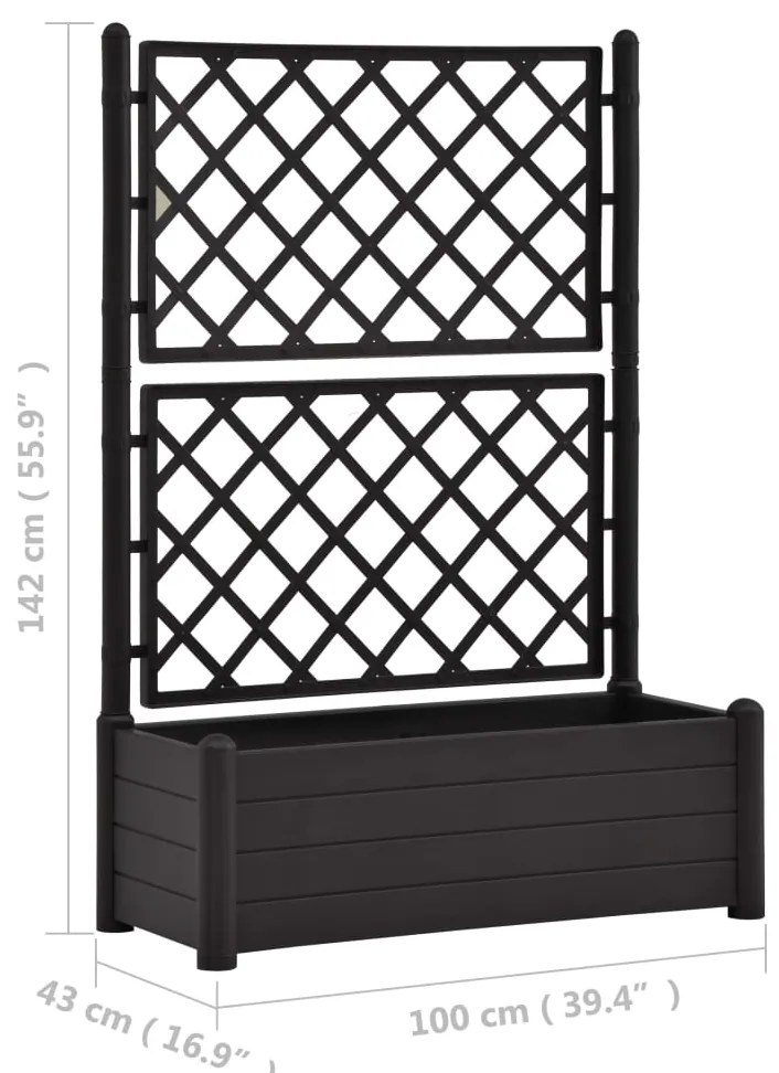 Ζαρντινιέρα Κήπου με Καφασωτό Ανθρακί 100 x 43 x 142 εκ. από PP