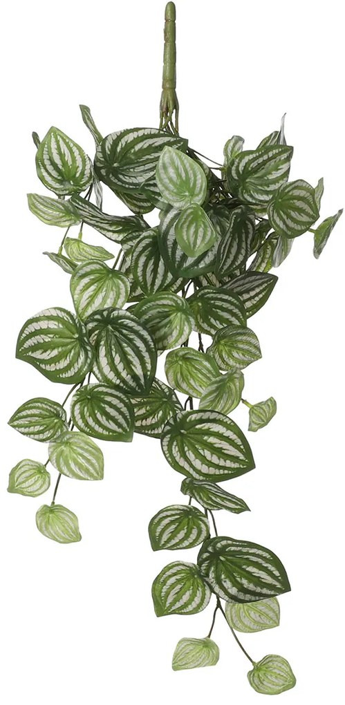 Τεχνητό Φυτό Κρεμαστό 58εκ. Edelman Peperomia L.Green 1074940