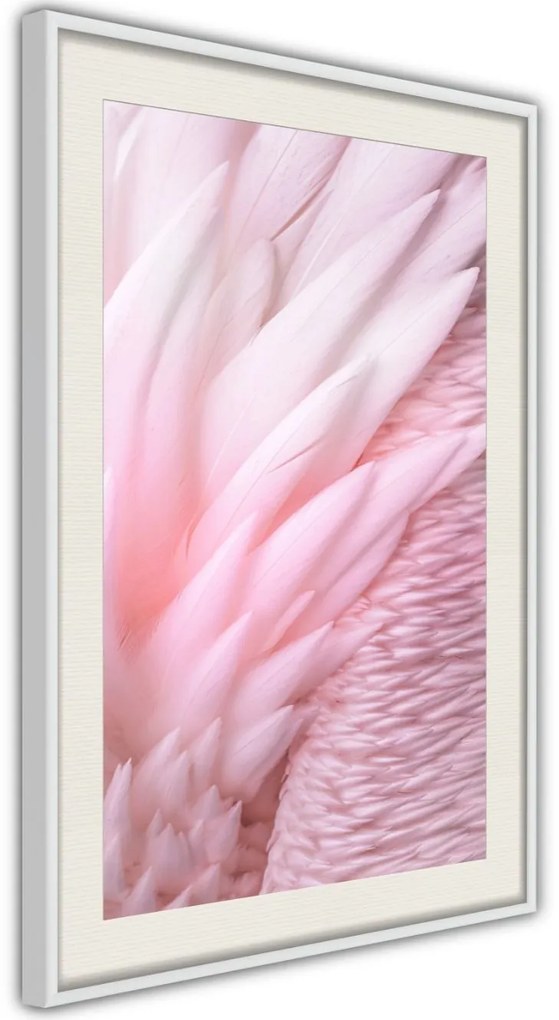 Αφίσα - Pink Feathers - 20x30 - Χρυσό - Χωρίς πασπαρτού