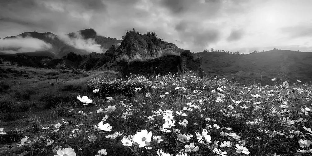 Εικόνα λιβάδι με ανθισμένα λουλούδια σε μαύρο & άσπρο - 100x50