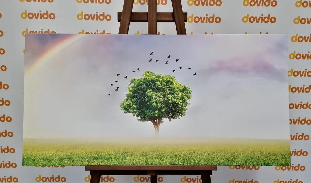 Εικόνα ενός μοναχικού δέντρου σε ένα λιβάδι - 100x50