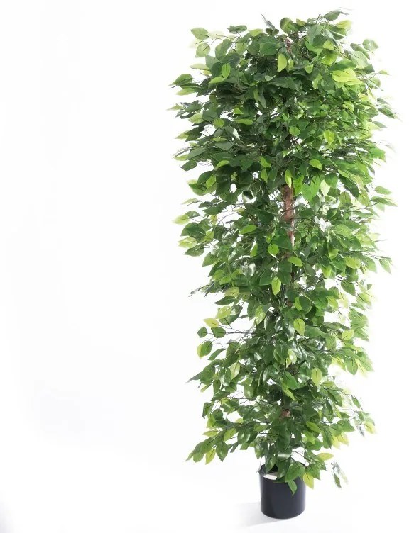 Supergreens Τεχνητό Δέντρο Συκιά "Anus" Πράσινο 180 εκ.