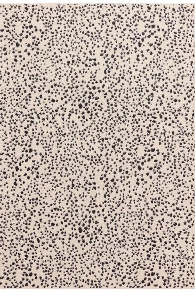 Χαλί Muse MU11 Spotty Black Asiatic London 200X290cm