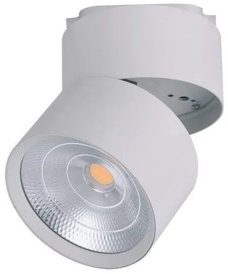Σποτ Ράγας 2-line 25W Cob Chameleon Space Lights-2104024-Λευκό 2104024
