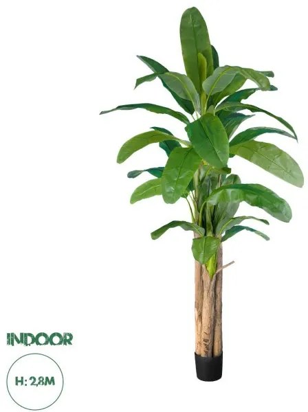 Artificial Garden BANANA TREE 20019 Τεχνητό Διακοσμητικό Φυτό Μπανανιά - Μπανανόδεντρο Υ280cm  Globostar-20019-Πράσινο 20019