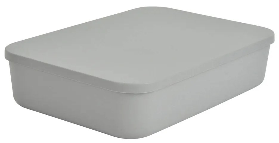 Κουτί Αποθήκευσης (35x25x8) L-C Gris 6RAN839GR