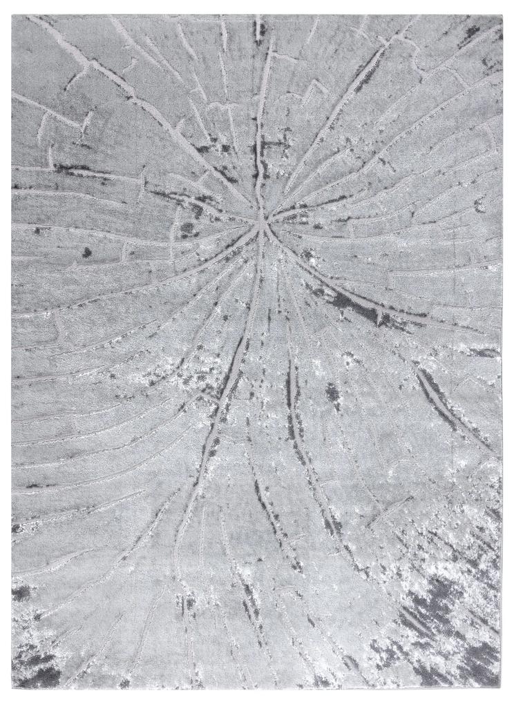 Σύγχρονο MEFE χαλί 2784 Ξύλο δέντρου - δομική δύο επίπεδα μαλλιού γκρι
