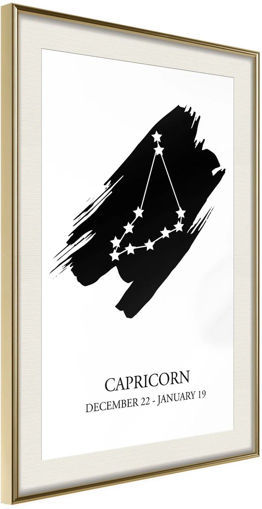 Αφίσα - Zodiac: Capricorn I - 30x45 - Χρυσό - Με πασπαρτού