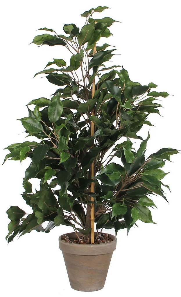Τεχνητό Φυτό Σε Γλάστρα 60εκ. Edelman Ficus 980063