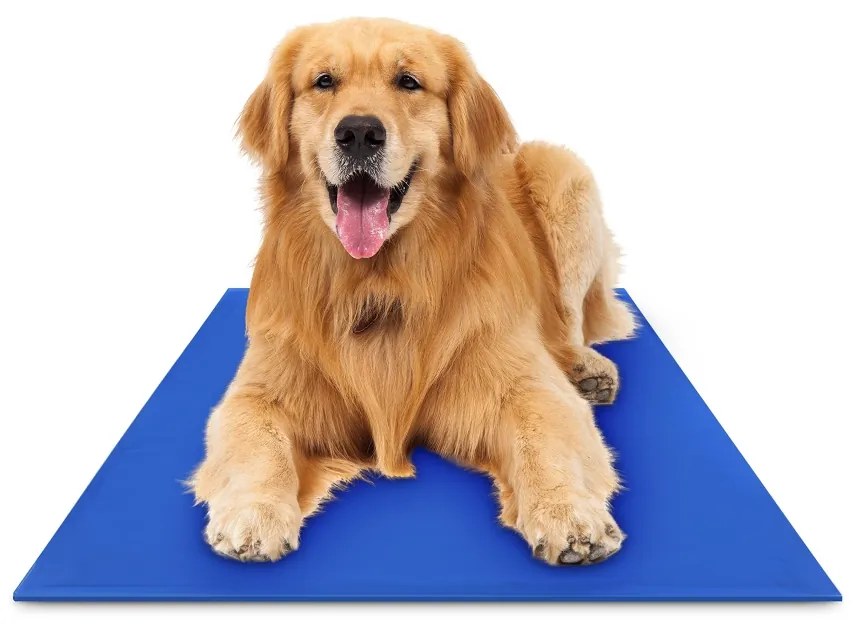 Στρώμα Δροσισμού Σκύλου Pet Cool Mat M ΥΗ-02921