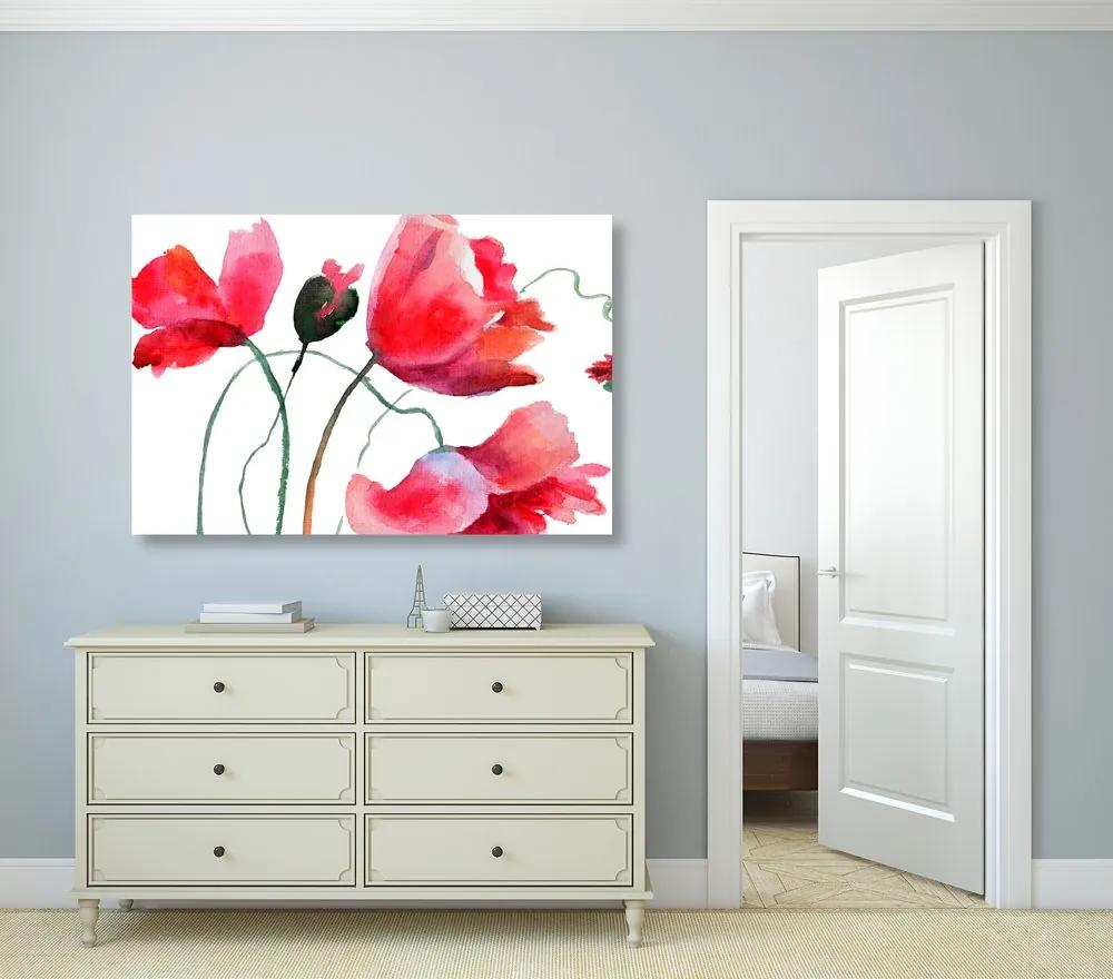 Εικόνα μοναδικά λουλούδια παπαρούνας - 120x80